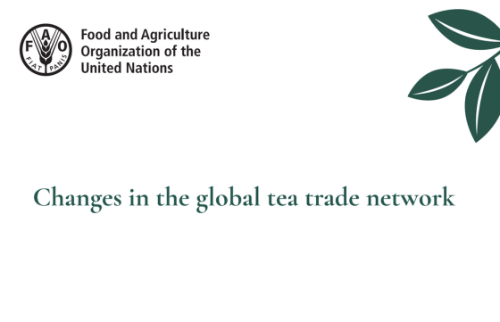 FAO – Changes in the Global Tea Trade Network, 2024 
