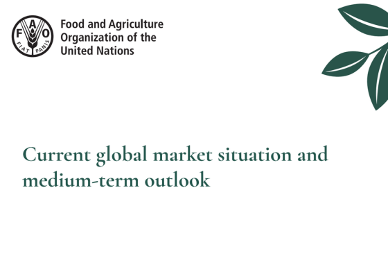 FAO – Current global market situation and medium term outlook 