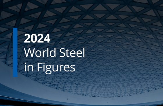 WSA – World Steel in Figures, 2024 
