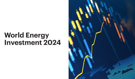 IEA – World Energy Investment, 2024 