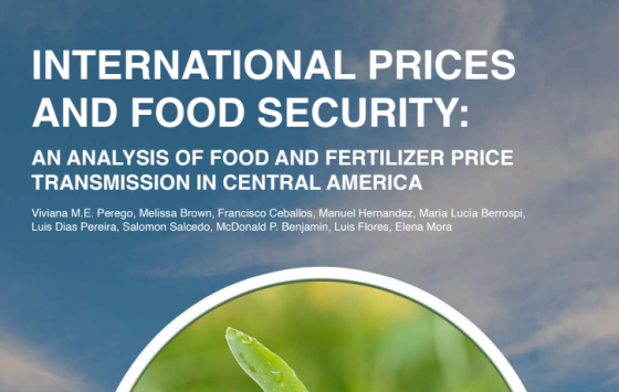 World Bank – International Prices and Food Security, 2024 