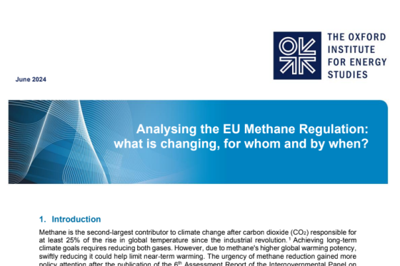 Oxford – Analysing the EU Methane Regulation 