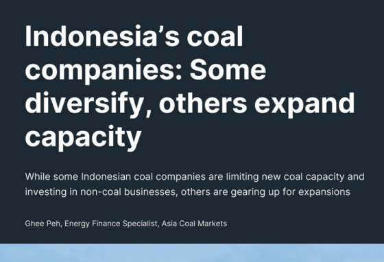 IEEFA – Indonesia's coal companies 