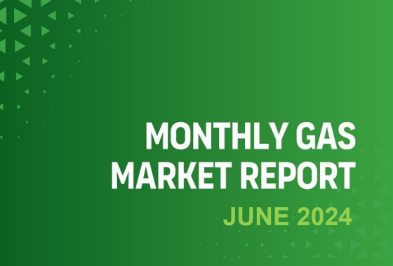 GECF – Monthly Gas Market Report, June 2024 