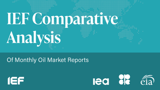 IEF – Comparative Analysis, 2024 