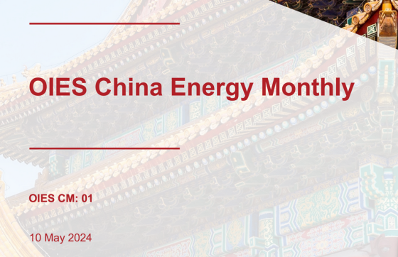 OIES – China Energy Monthly 
