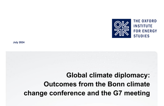 Oxford – Global climate diplomacy, July 2024 