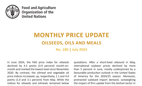 FAO – Monthly Price Update, July 2024 