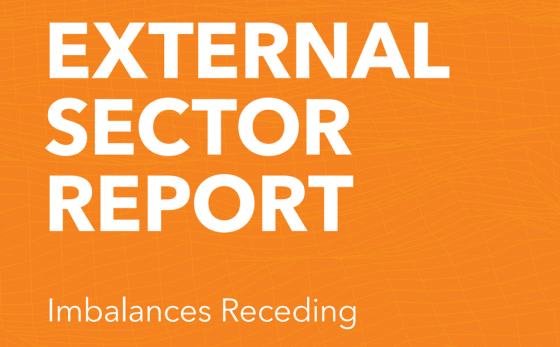 IMF – External Sector Report, July 2024 