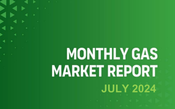 GECF – Monthly Gas Market Report, July 2024 