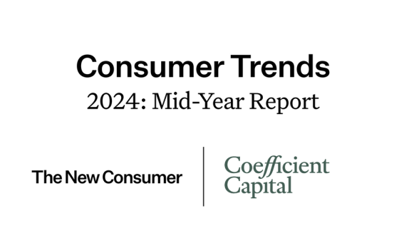 Consumer – Trends Mid-Year, 2024 