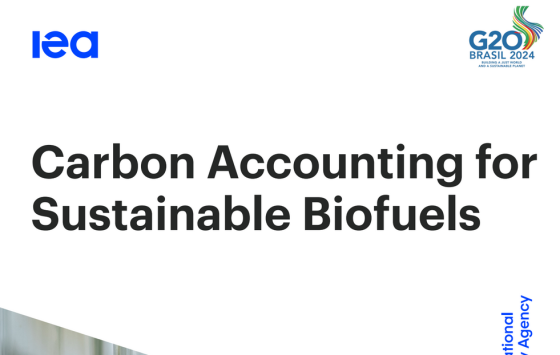 IEA – Carbon Accounting for Sustainable Biofuels 