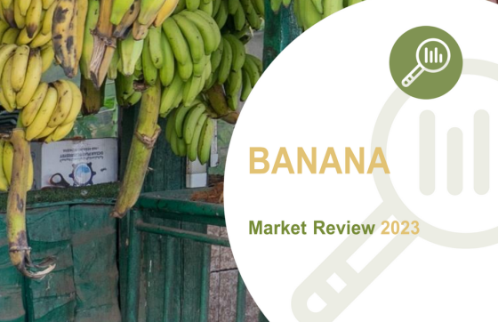 FAO – Banana Market Review, 2023 