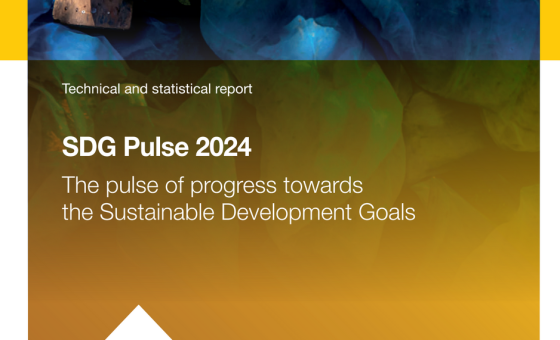 United Nations – SDG Pulse, 2024 