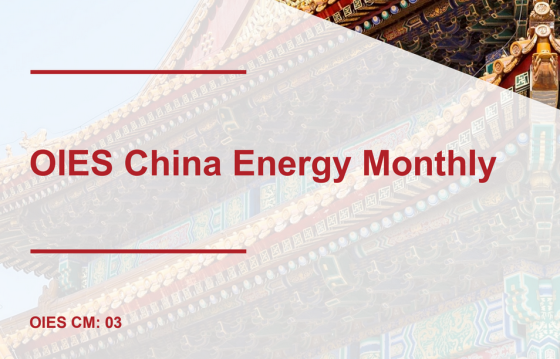 OIES – China Energy Monthly Issue 3 