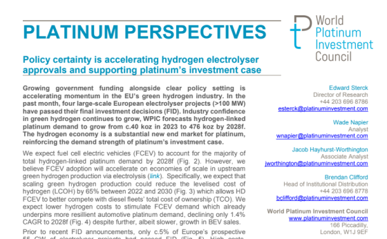 WPIC – Platinum Perspectives, Aug 2024 