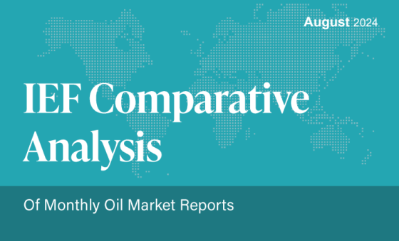 IEF – Comparative Analysis, Aug 2024 