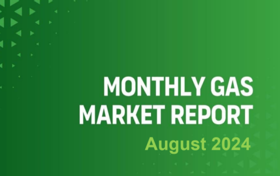 GECF – Monthly Gas Market Report, Aug 2024 