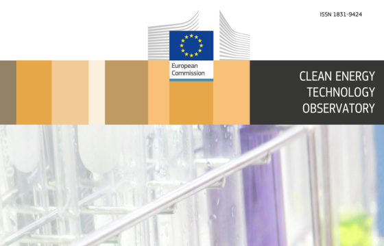 EC – Biofuels in the European Union 