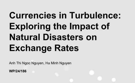 IMF – Currencies in Turbulence, Aug 2024 