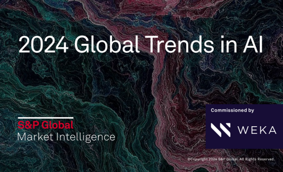 S&P – Global Trends in AI, 2024 