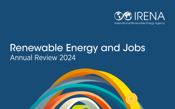 IRENA – Renewable energy and jobs. Annual Review, 2024 