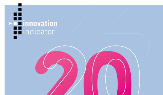 BDI – Innovation indicator, 2024 