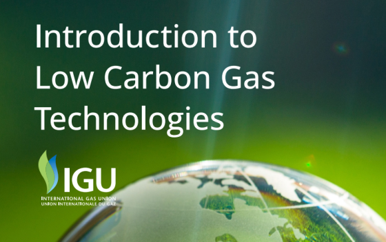 IGU – Introduction to Low Carbon Gas Technologies 