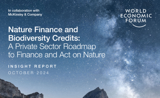 WEF – Nature Finance and Biodiversity Credits 