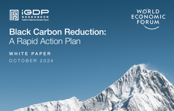 WEF – Black Carbon Reduction: A Rapid Action Plan, Oct 2024 