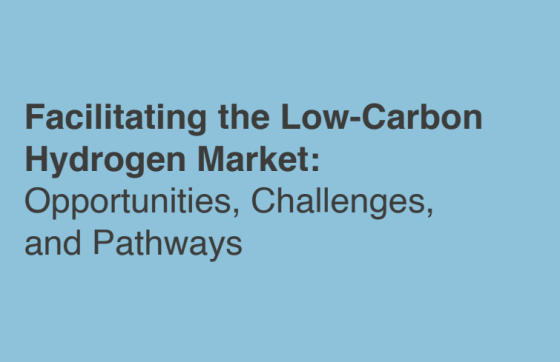 KAPSARC – Facilitating the Low-Carbon Hydrogen Market: Opportunities 