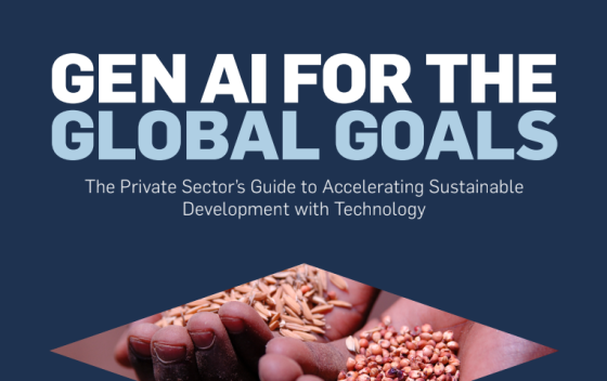 Accenture and UN – Gen AI for the Global Goals, 2024 