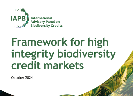 International Advisory Panel on Biodiversity Credits – Framework for High Integrity Biodiversity Credit Markets, Oct 2024 