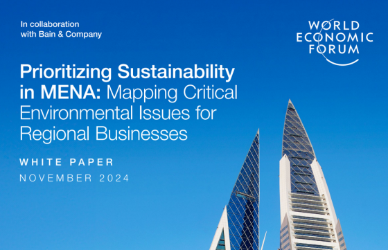 World Economic Forum – Prioritizing Sustainability in MENA 