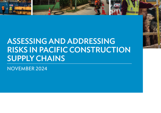 Asian Development Bank – Assessing and Addressing Risks in Pacific Construction Supply Chains 