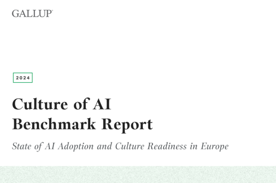 Gallup – Culture of AI: Benchmark Report, 2024 