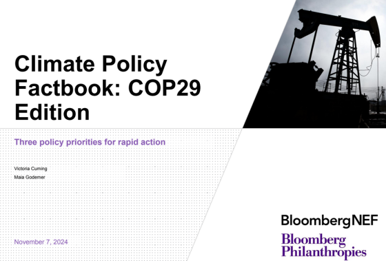 BloombergNEF – Climate Policy Factbook, Nov 2024 