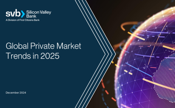 Silicon Valley Bank – Global Private Market Trends in 2025 