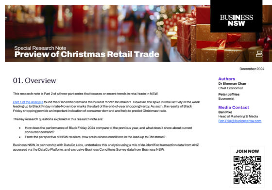 Business NSW – Preview of Christmas Retail Trade, Dec 2024 