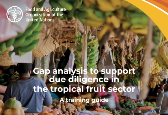 FAO – Gap Analysis to Support Due Diligence in the Tropical Fruit Supply Chain 