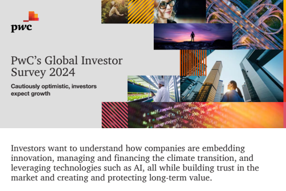 PwC – Global Investor Survey, 2024 