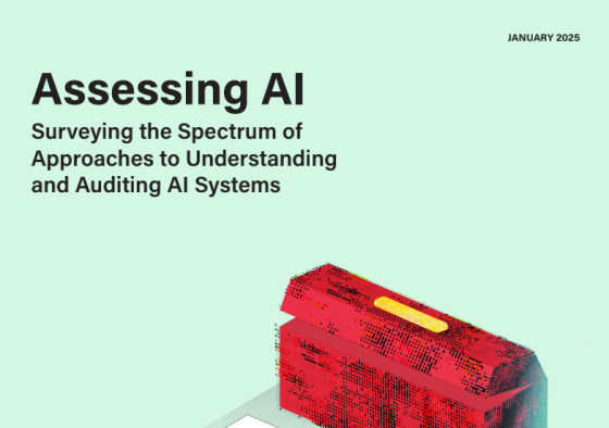 CDT – Assessing AI: Surveying the Spectrum of Approaches to Understanding, 2024 