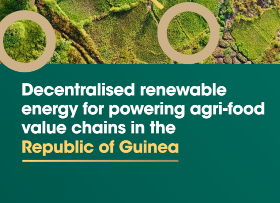 IRENA – Decentralised Renewable Energy for Powering Agri-Food Value 