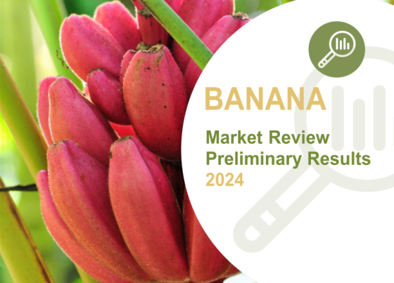 FAO – Banana Market Review, 2024 