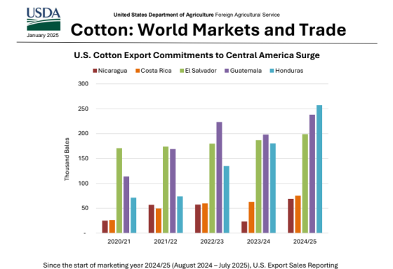 USDA – Cotton. World Markets and Trade, Jan 2025 