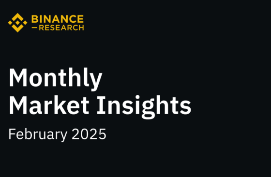 Binance Research – Monthly Market Insights, Feb 2025 