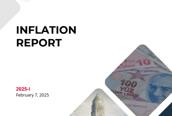 Central Bank of the Republic of Türkiye – Inflation Report, Feb 2025 