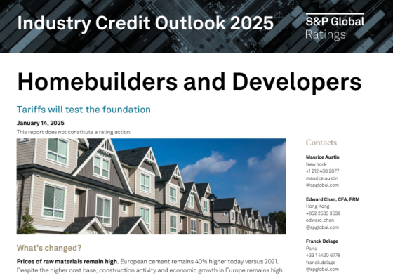 S&P Global – Homebuilders and Developers Industry Credit Outlook, 2025 