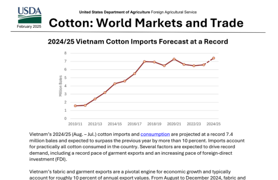 USDA – Cotton. World Markets and Trades, Feb 2025 