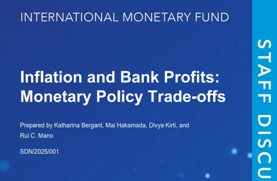 IMF – Inflation and Bank Profits: Monetary Policy Trade-offs, Feb 2025 